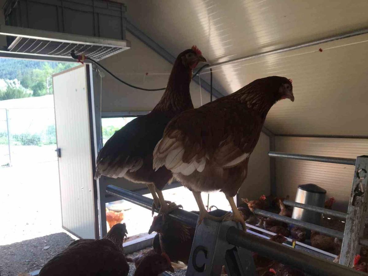 Camping La Ferme De กาสเตลลาน ภายนอก รูปภาพ