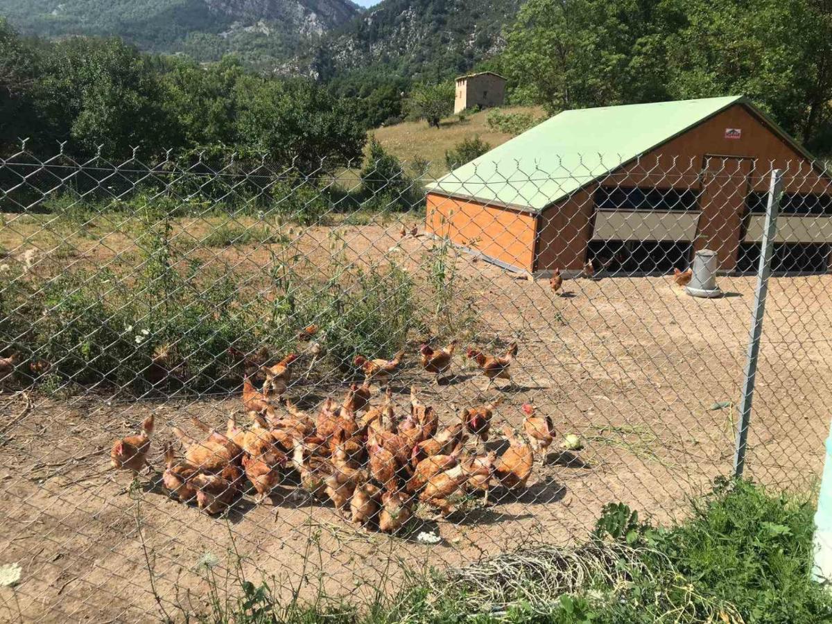 Camping La Ferme De กาสเตลลาน ภายนอก รูปภาพ