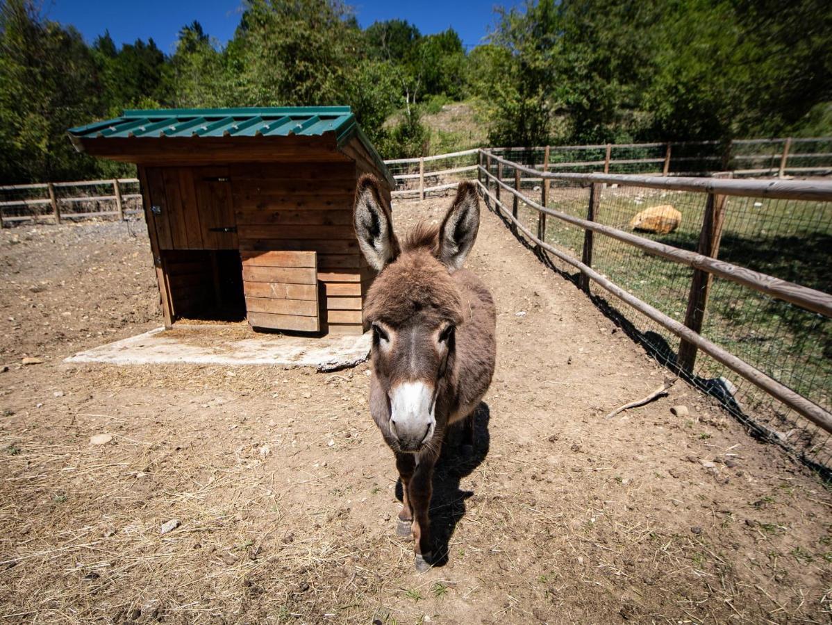 Camping La Ferme De กาสเตลลาน ภายนอก รูปภาพ